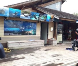 Eleuthera Tahiti Diving Center