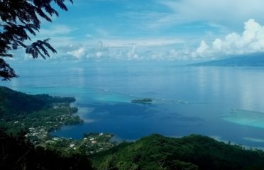 Afareaitu