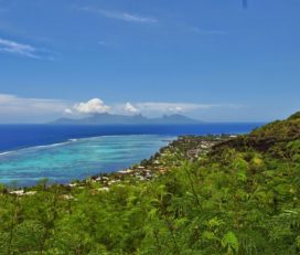 Aito Immobilier Tahiti