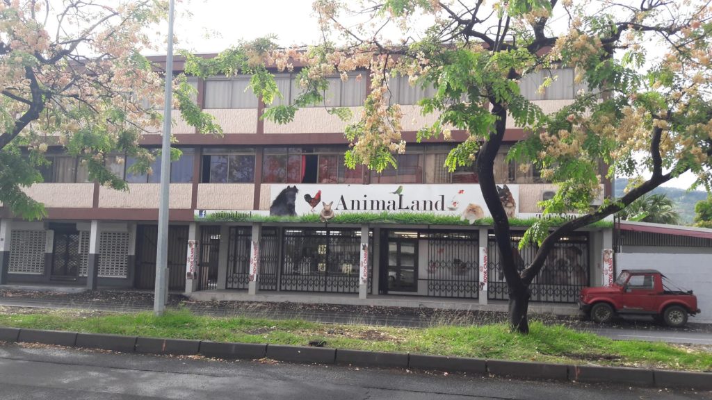 Animal Land