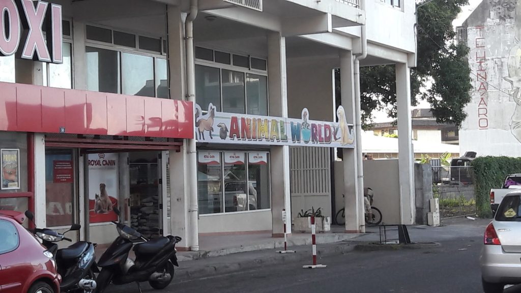 Animal World