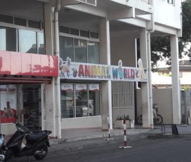 Animal World
