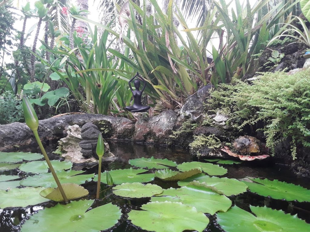 BIO ÉNERGIE TAHITI. KATI.