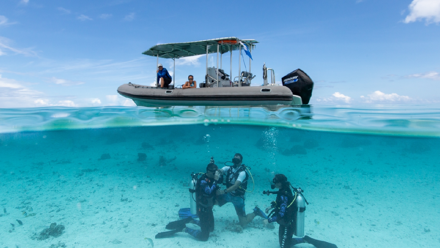 BORA OCEAN ADVENTURES Club de plongée Organisateur d'excursions d'observation des baleines  Bora-Bora