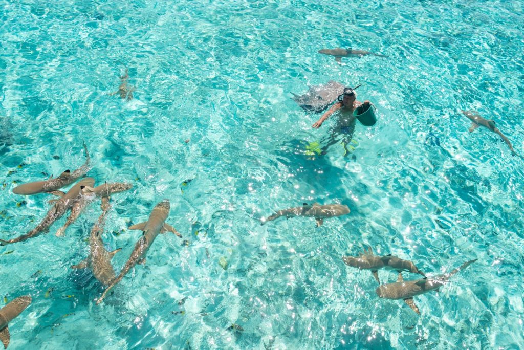 Bora Bora Cultural Lagoon Tours — photo 6