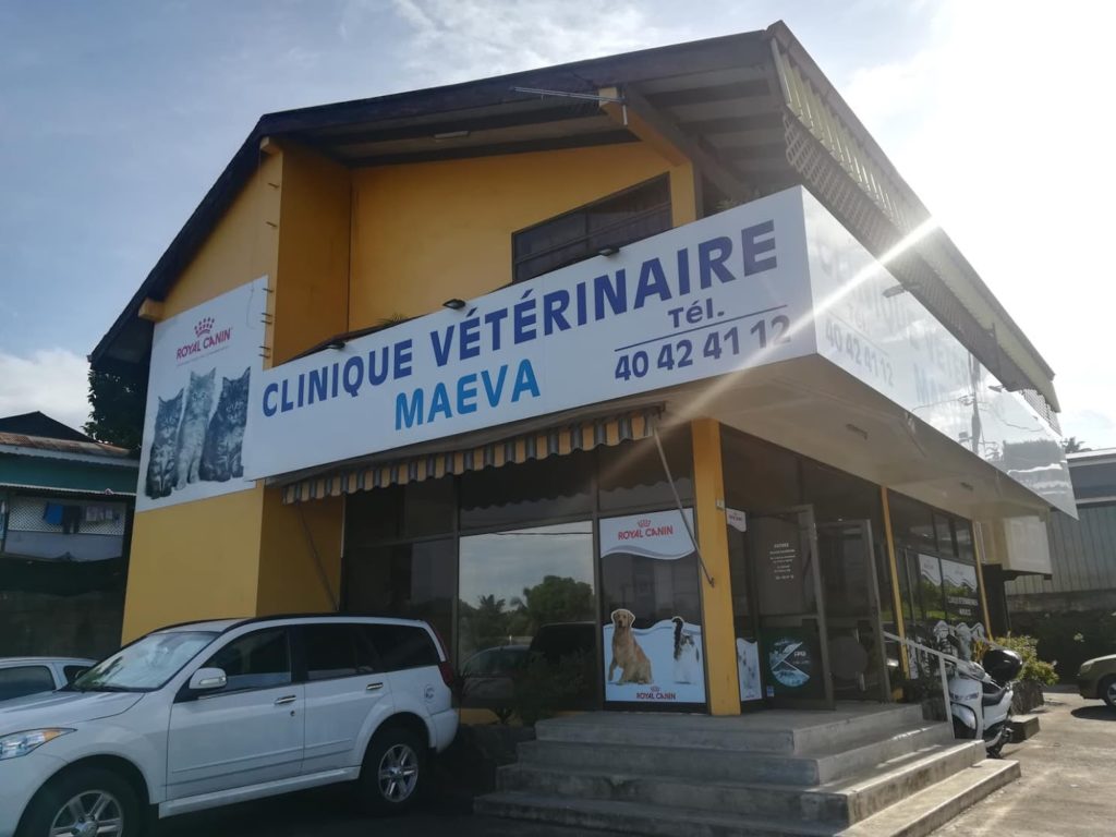 CLINIQUE VETERINAIRE MAEVA
