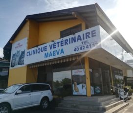 CLINIQUE VETERINAIRE MAEVA