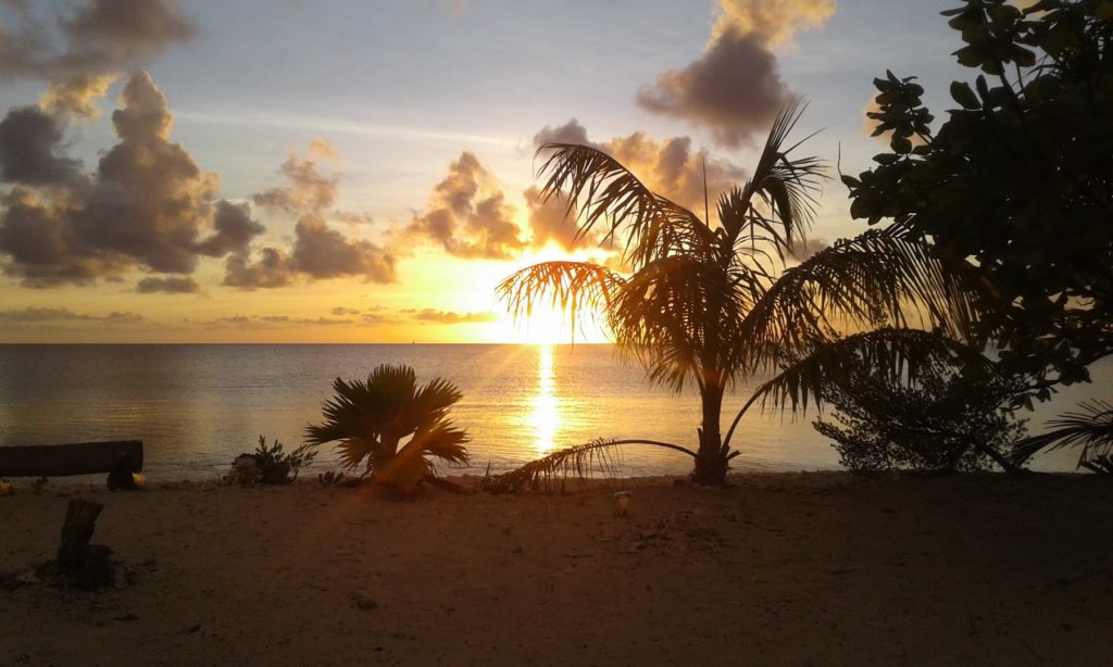 Camping Tekopa Village Fakarava — photo 2