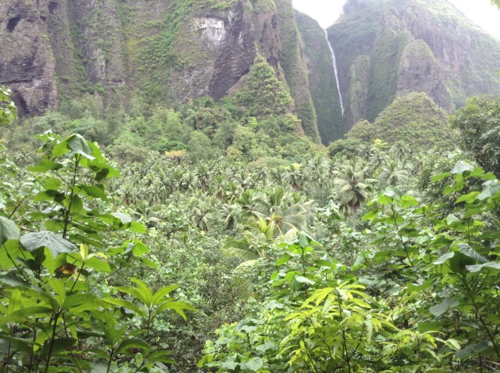 Cascade de Vaipo