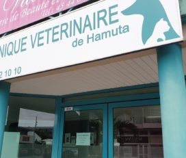 Clinique Vétérinaire Hamuta