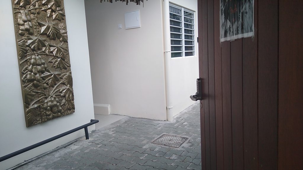 Coconut Studio
