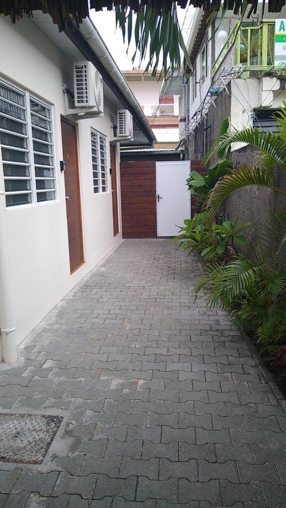 Coconut Studio — photo 3