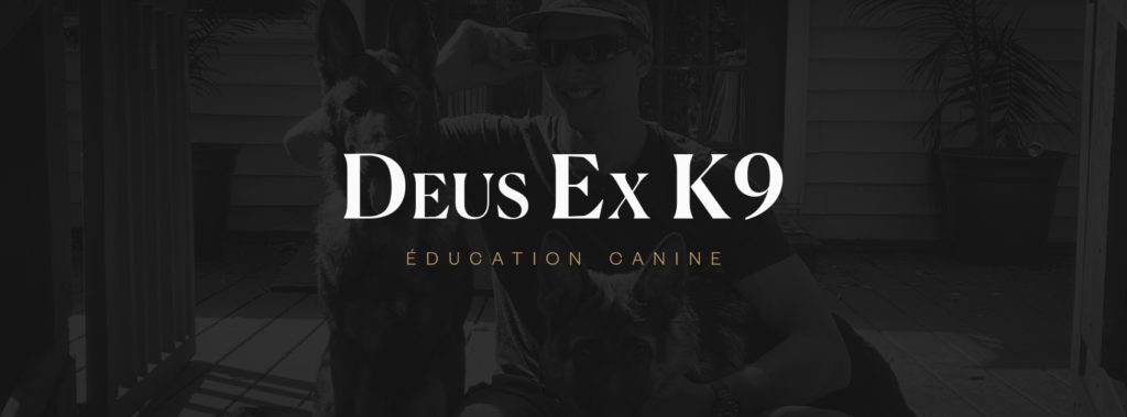 Deus Ex K9