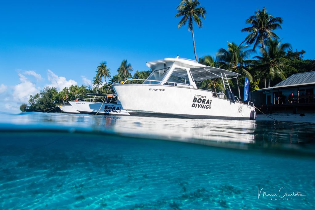 Eleuthera BORA DIVING CENTER