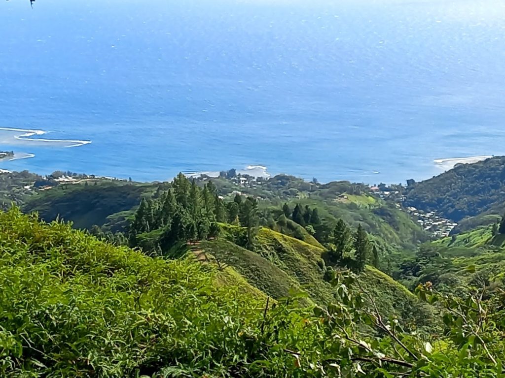 Hanakea Hills – TE ARA O TE TUPUNA. Le sentier des ancêtres.