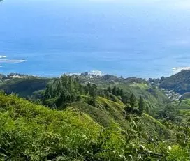 Hanakea Hills – TE ARA O TE TUPUNA. Le sentier des ancêtres.