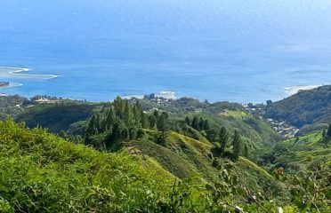 Hanakea Hills – TE ARA O TE TUPUNA. Le sentier des ancêtres.