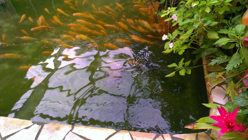 Hiti Moana Villa — photo 5