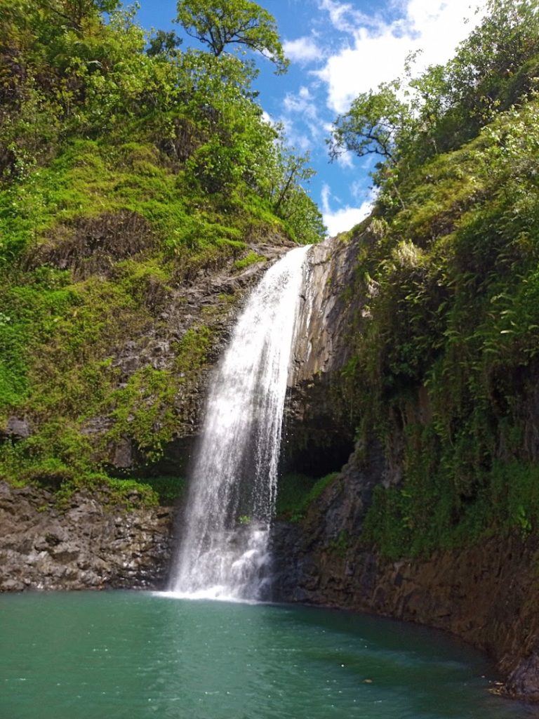Ia ora na Tahiti expéditions — photo 3