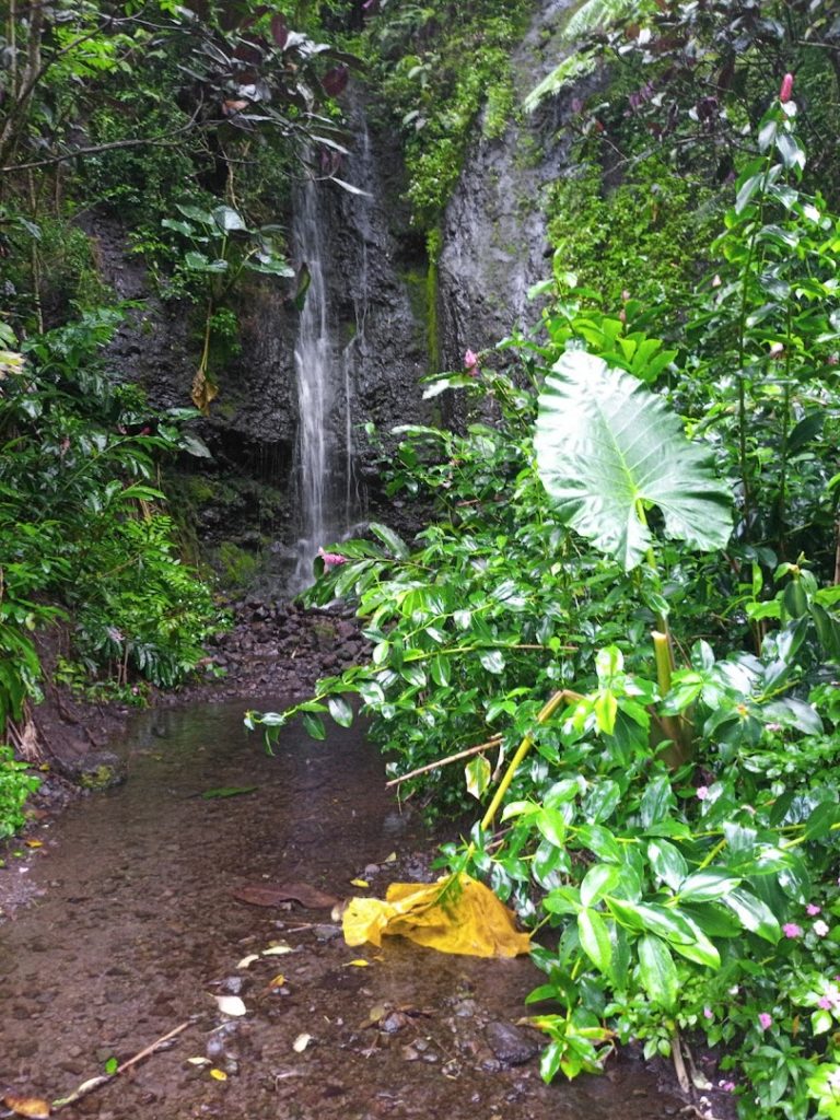 Ia ora na Tahiti expéditions — photo 4