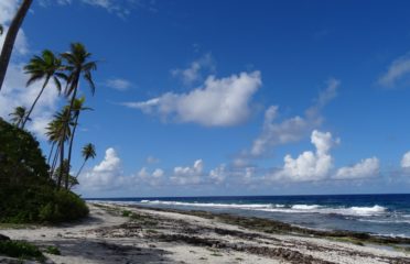 Îles Sous-le-Vent