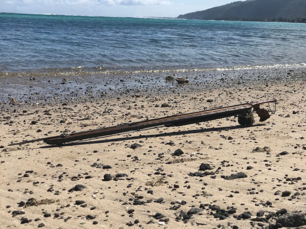 JOINTS SPEARFISHING