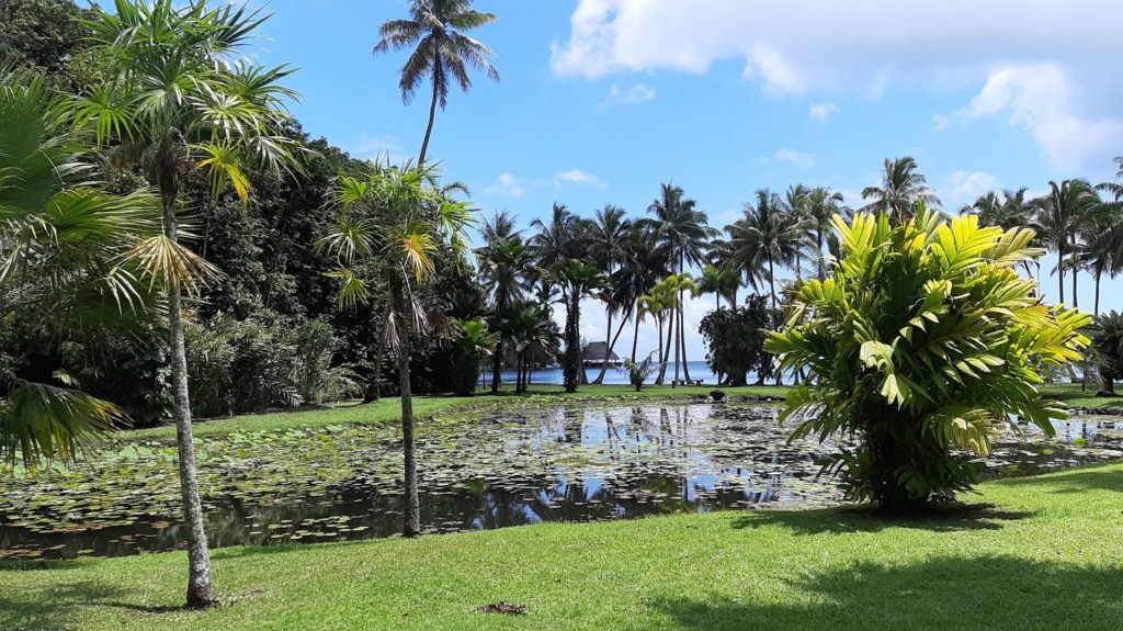Jardin Botanique Harrison Smith