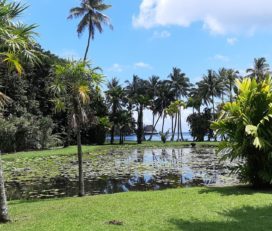 Jardin Botanique Harrison Smith