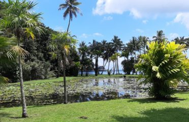 Jardin Botanique Harrison Smith