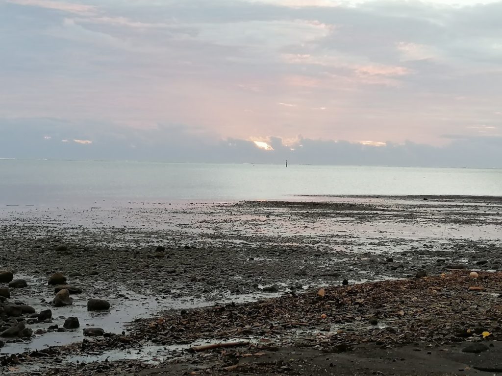 LS Proxi Afarerii-Papara — photo 6