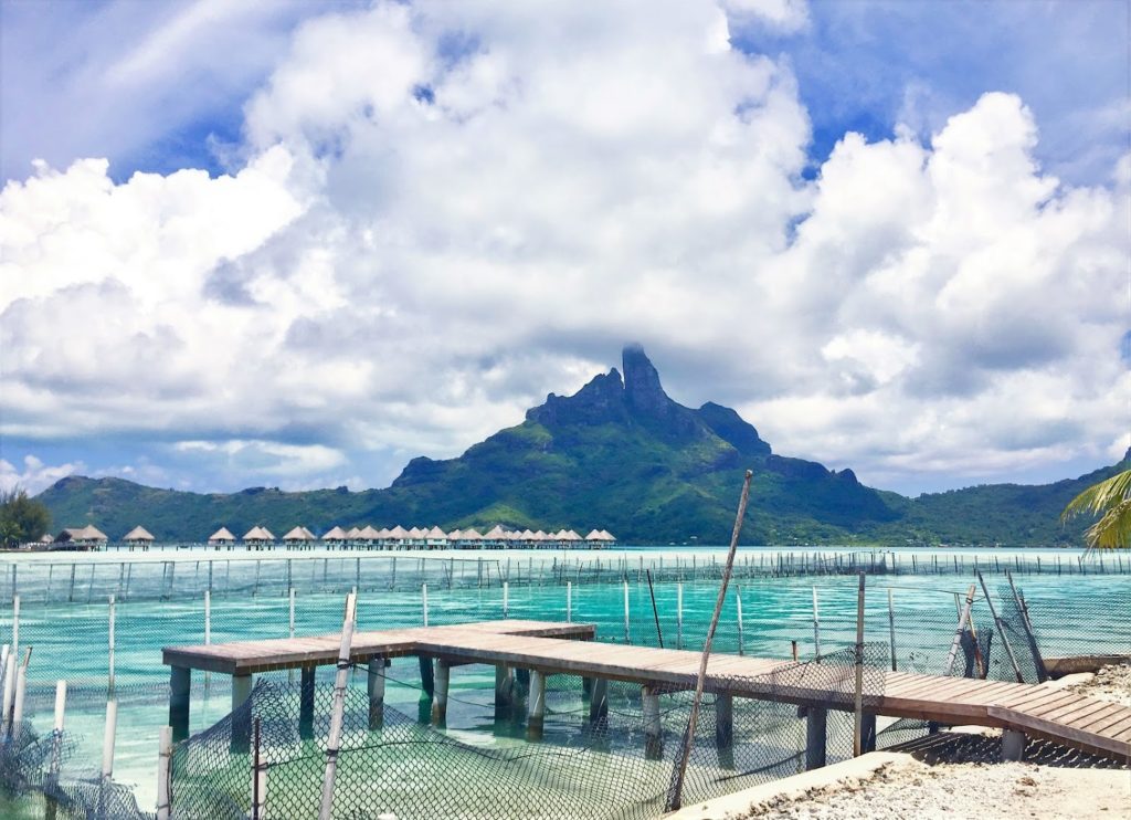 Lagoonarium de Bora Bora