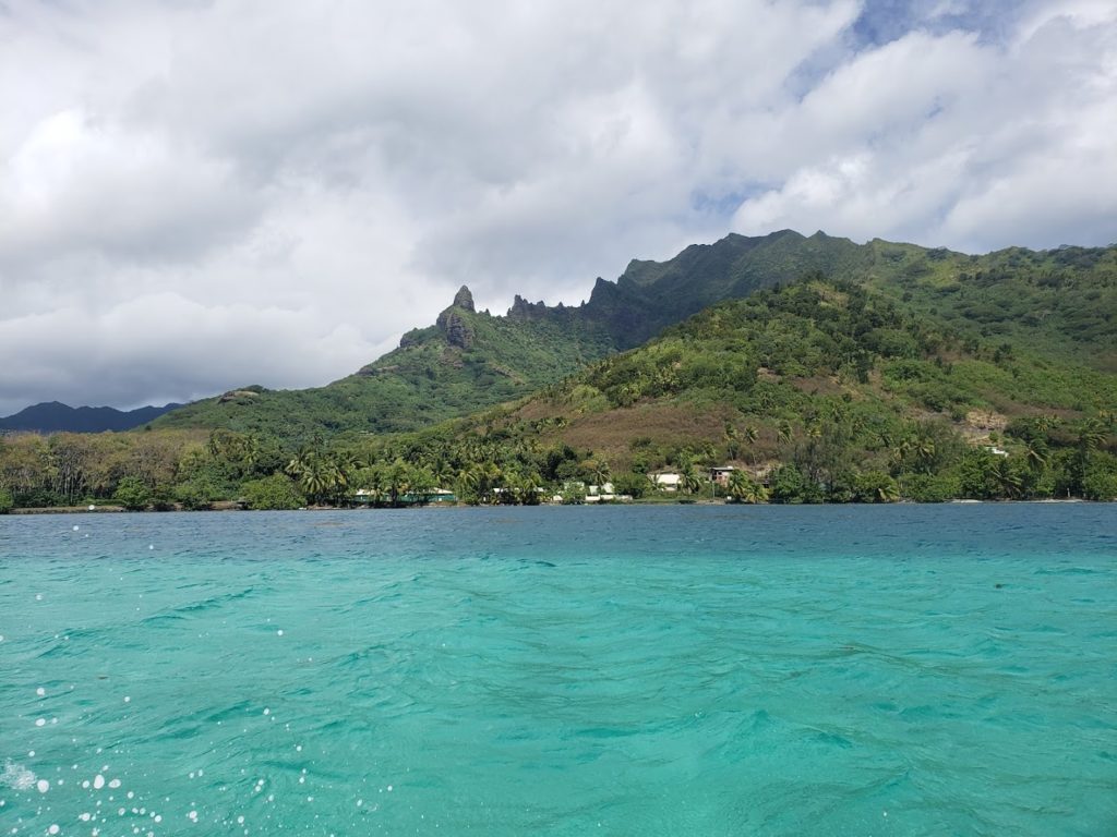 Mermaid Private Boat Tours