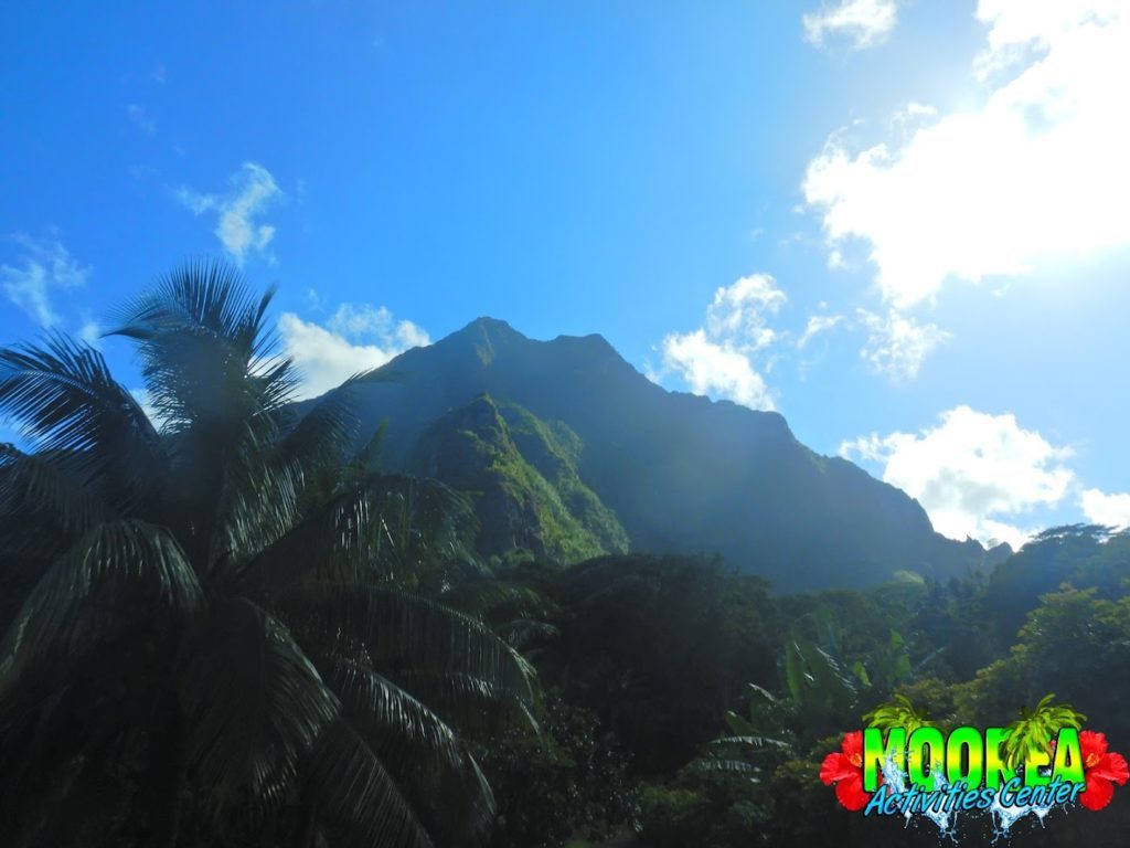 Moorea Activities Center (JetSki, Quad/ATV, Baleines/whales)