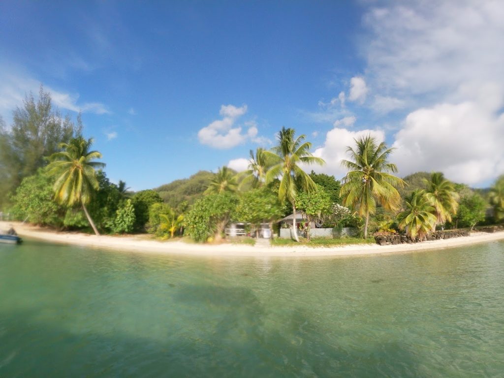 Moorea Fun Dive