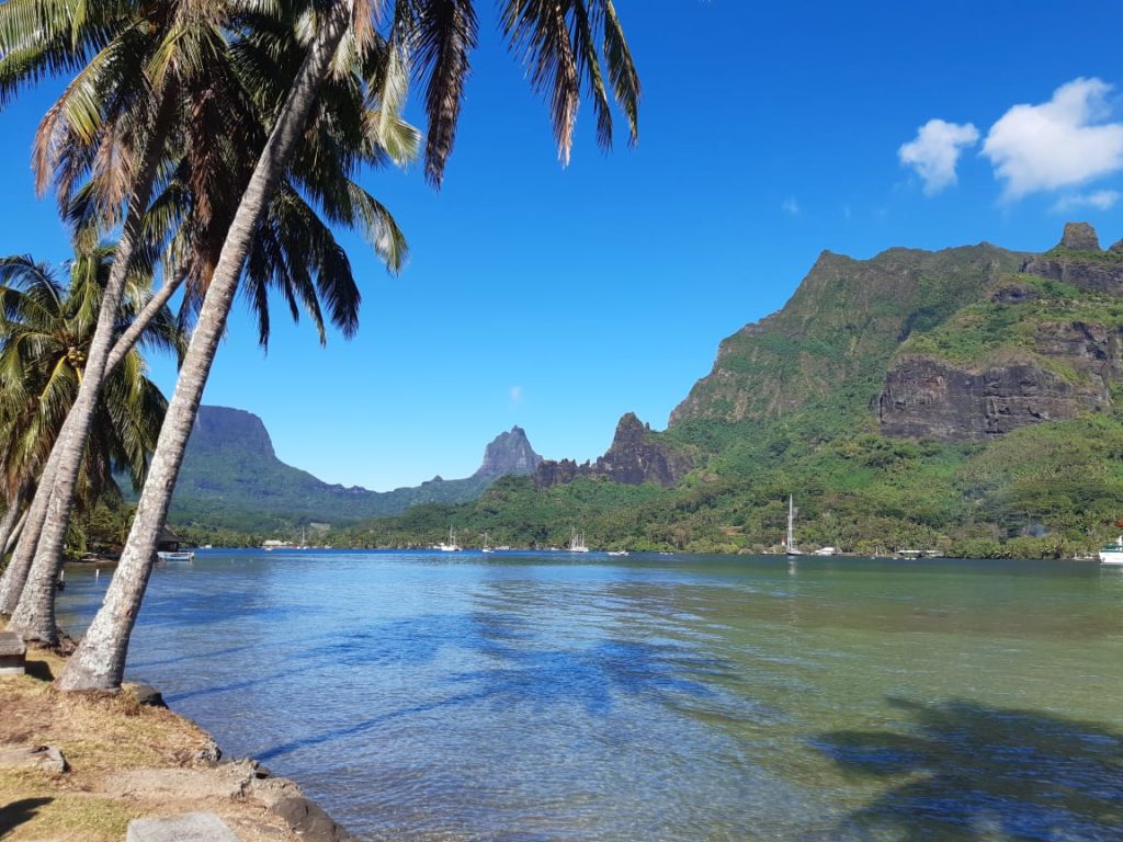 Moorea Green Tour – EBIKE VAE