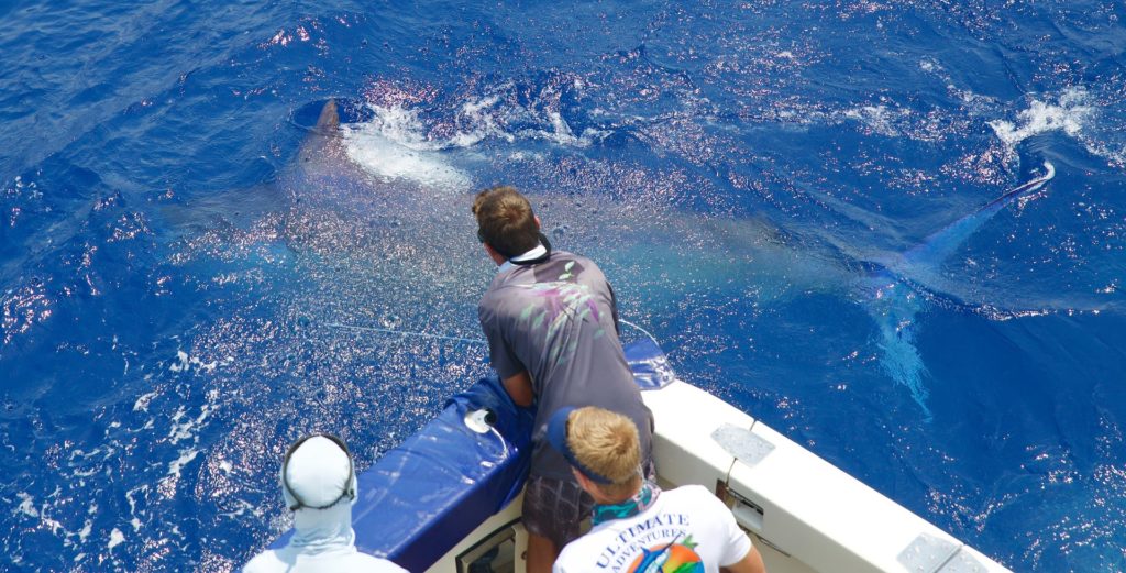 Moorea Sport Fishing