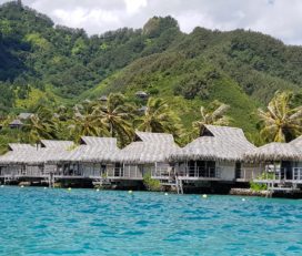 Moorea Trip Tours