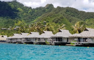 Moorea Trip Tours