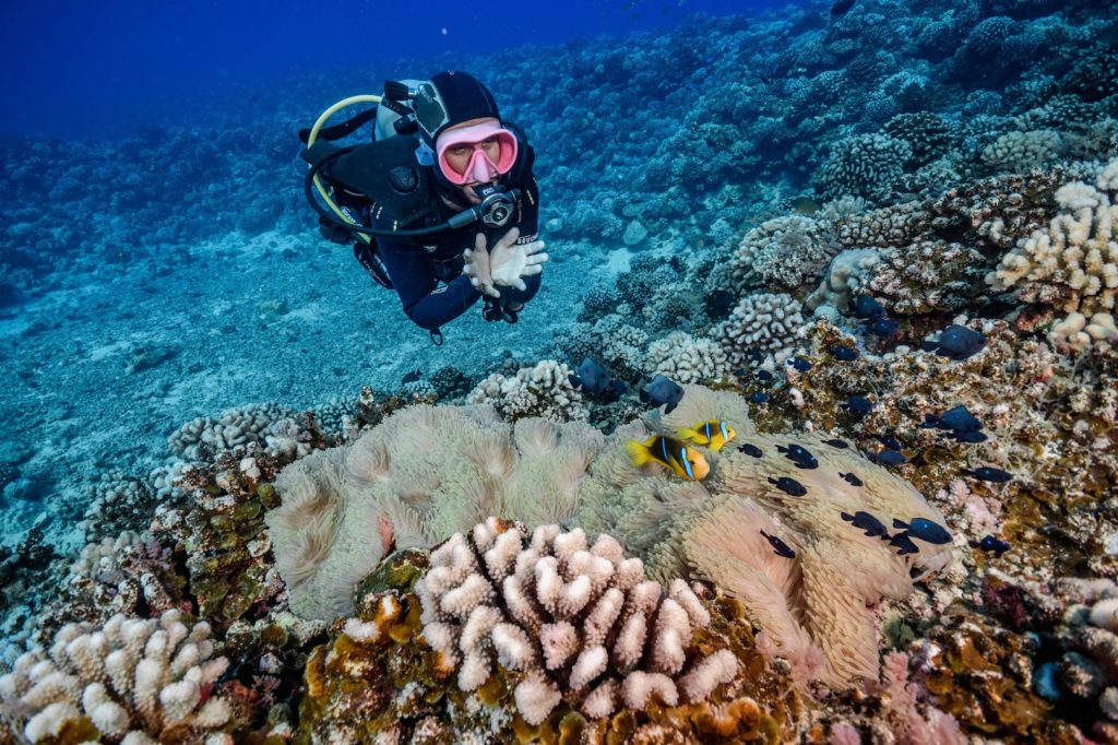 NEMOZ DIVE CENTER — photo 4