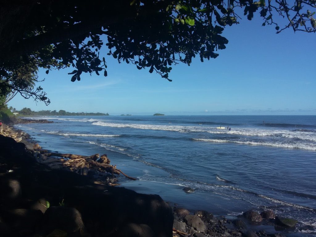OROFARA — photo 3