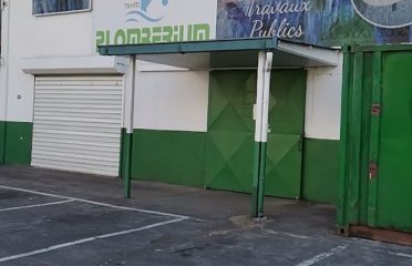 PLOMBERIUM TAHITI