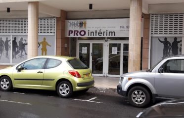 PRO INTERIM