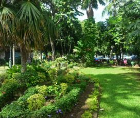 Parc Bougainville