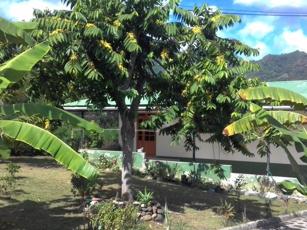 Pension Lénalodge