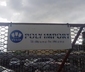 Poly Import