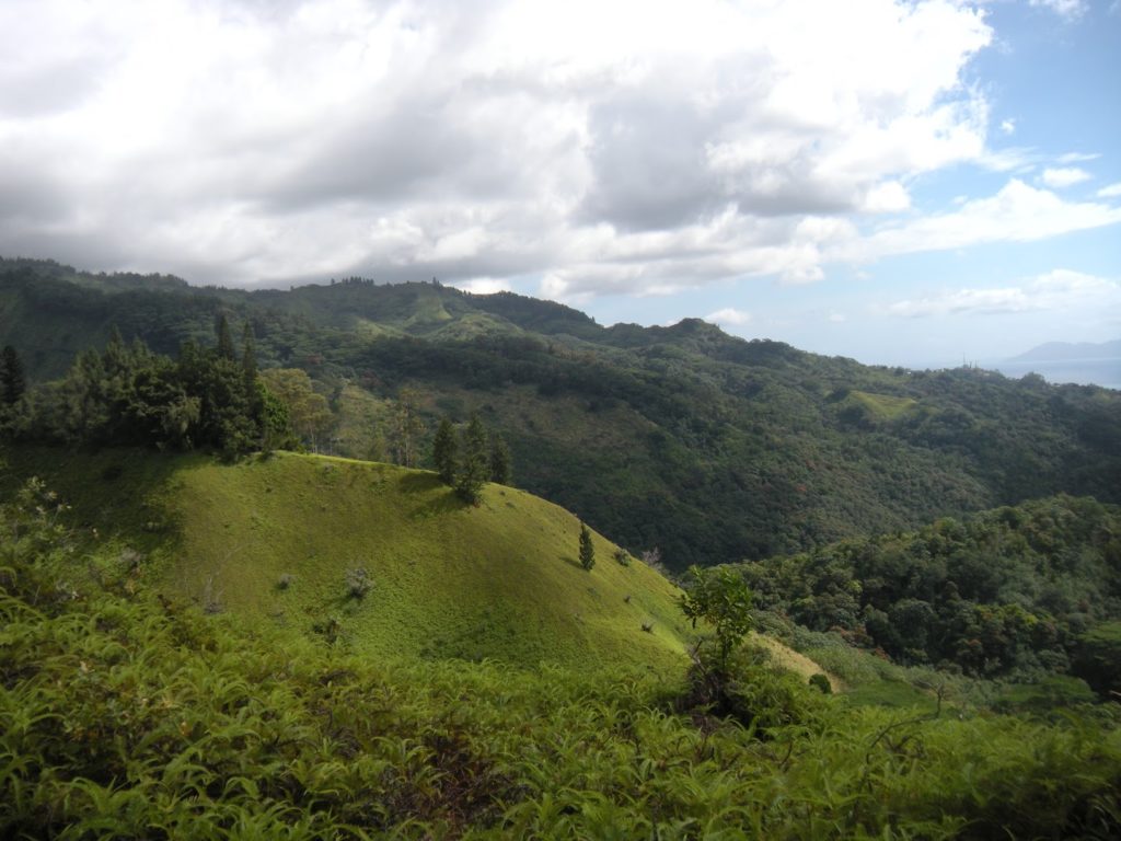 Rainbow Park Tahiti — photo 2