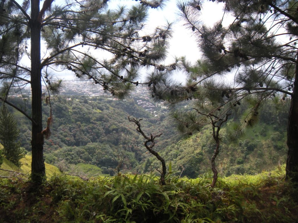Rainbow Park Tahiti — photo 5