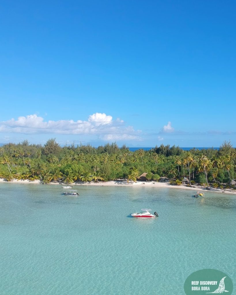 Reef Discovery Bora Bora