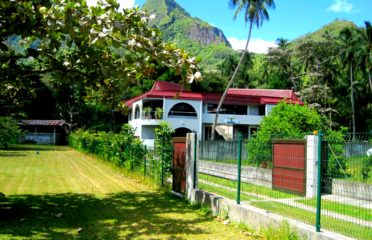 Sci Vainau