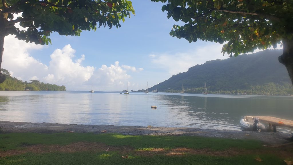 Snack Rotui — photo 3